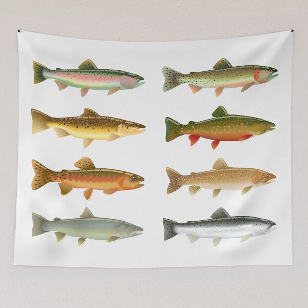 Item preview, Trout Species designed and sold by Sabin Artworks.