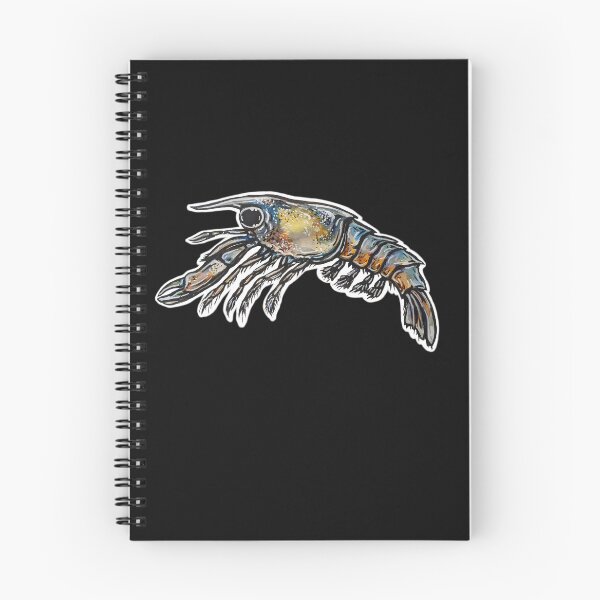Item preview, Stage 3 Larval Lobster designed and sold by chloepenguin.
