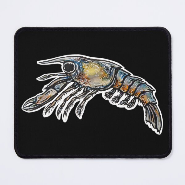 Item preview, Stage 3 Larval Lobster designed and sold by chloepenguin.