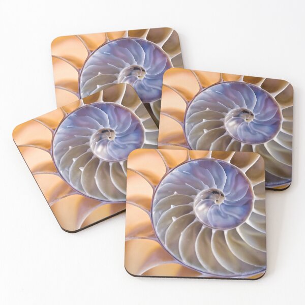 Item preview, Chambered nautilus (square version) designed and sold by Art in Nature.
