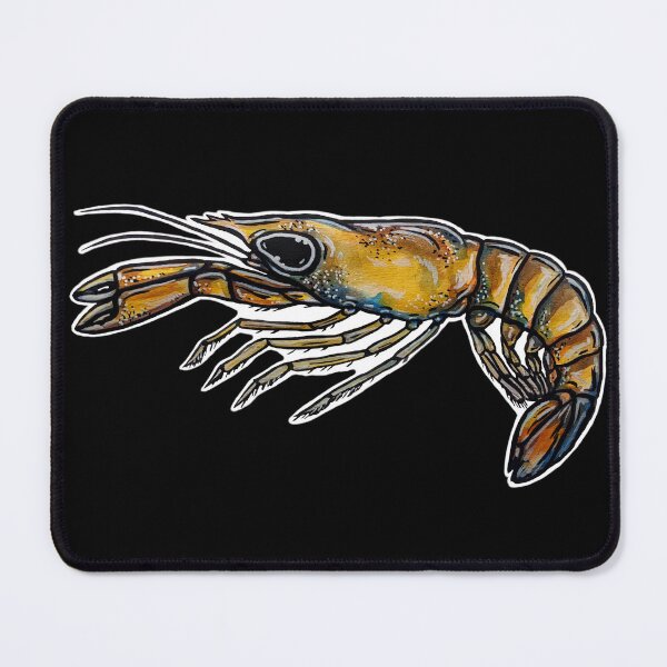 Item preview, Stage 4 Larval Lobster designed and sold by chloepenguin.