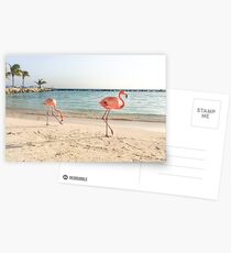 Flamingos, Sunset Postcards