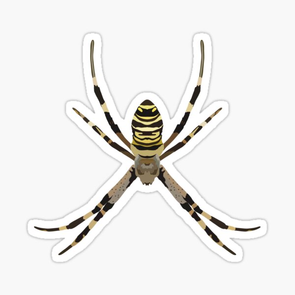 Item preview, O is for Orb Weaver,Orb Weaver Spider Illustration – Intricate Arachnid Artwork designed and sold by thezoogirl.