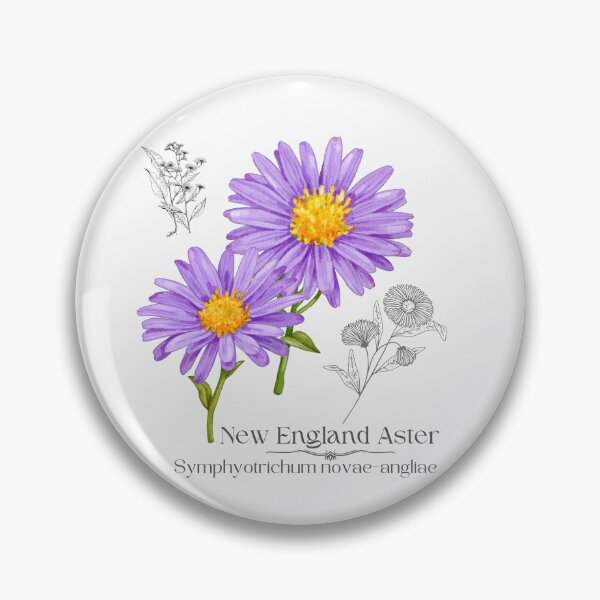 Item preview, New England Aster Colorful Illustration Design designed and sold by EarthArtDesigns.