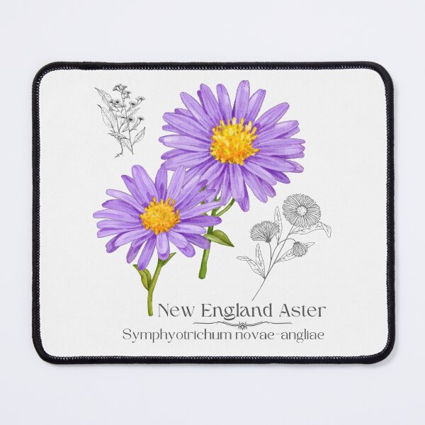 Item preview, New England Aster Colorful Illustration Design designed and sold by EarthArtDesigns.