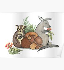Native Australian Babies – With Kangaroo, Sugar Glider And Platypus Poster
