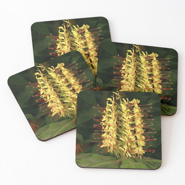 Item preview, Kahili ginger designed and sold by Gaspar Avila.
