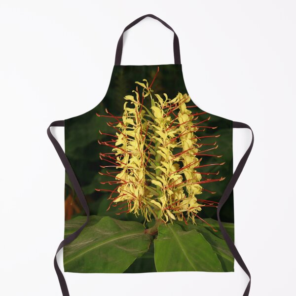 Item preview, Kahili ginger designed and sold by Gaspar Avila.