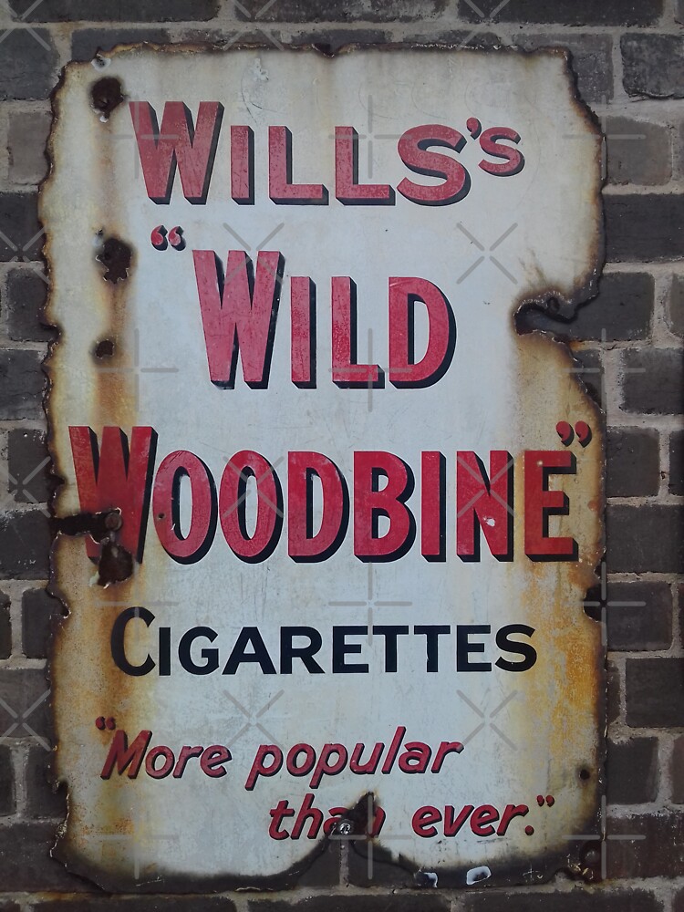 wills woodbine cigarettes Victorian Willis Wild Woodbine Advertisement 