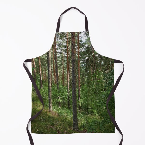 Item preview, Pyynikki forests designed and sold by Jouko Lehto Photography.