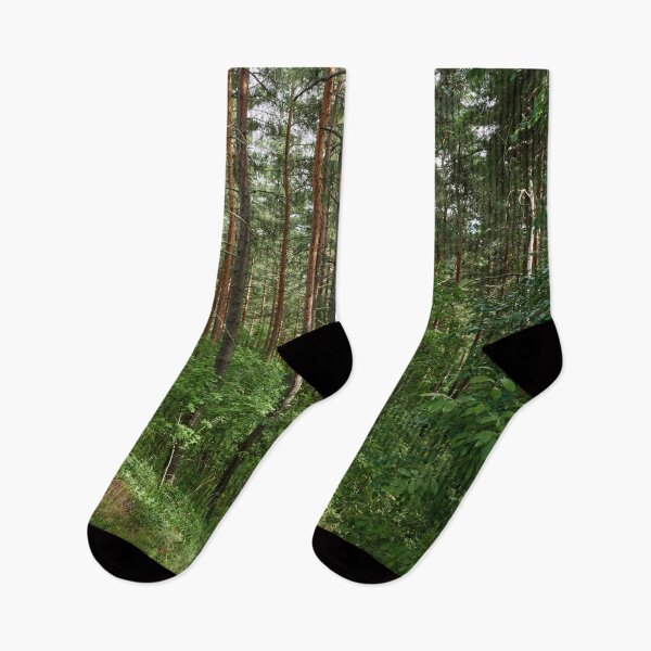 Item preview, Pyynikki forests designed and sold by Jouko Lehto Photography.