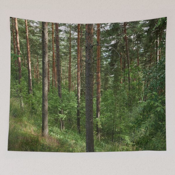 Item preview, Pyynikki forests designed and sold by Jouko Lehto Photography.