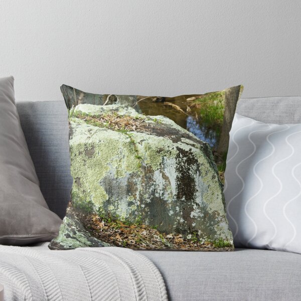 Item preview, Boulder with lichen designed and sold by Thaddeus Zajdowicz.