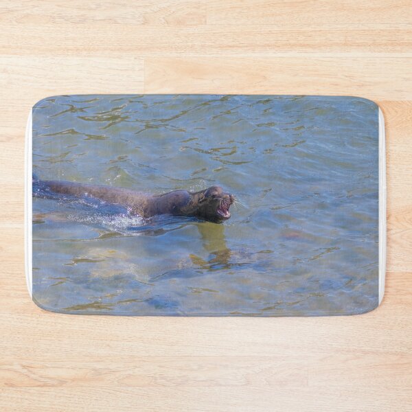 Item preview, Arguing Sea Lion Seal Swimming, Showing Teeth designed and sold by SafariByMarisa.