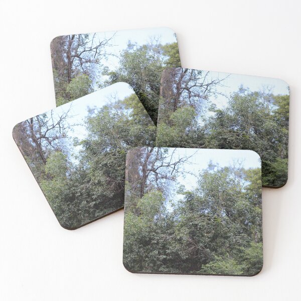 Item preview, The Land designed and sold by Jodie Cooper.