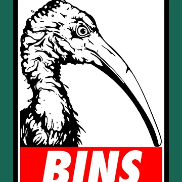 Artwork thumbnail, BINS by RachtaLin