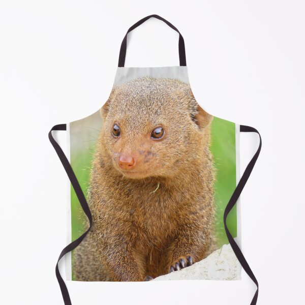 Item preview, Mini Mongoose designed and sold by wenniewombat.