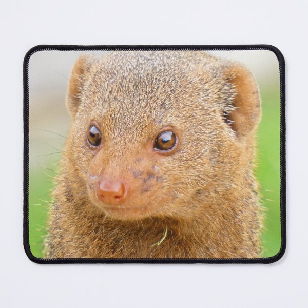 Item preview, Mini Mongoose designed and sold by wenniewombat.
