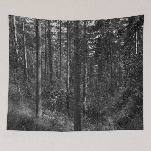 Item preview, Pyynikki forests bw designed and sold by Jouko Lehto Photography.
