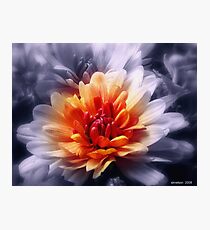 A Bright New Day Photographic Print
