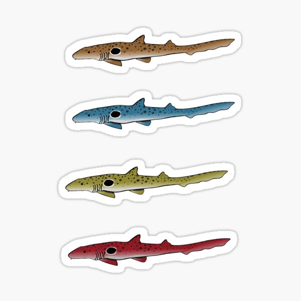 Epaulette cheap shark toy