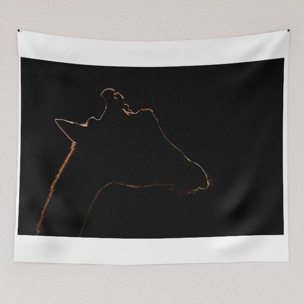 Item preview, Close-up of silhouetted giraffe against black background designed and sold by Nick Dale Photography.