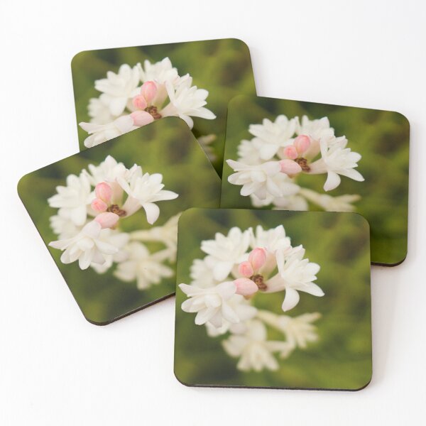 Item preview, Jasmin designed and sold by mylensflow.