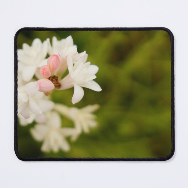 Item preview, Jasmin designed and sold by mylensflow.