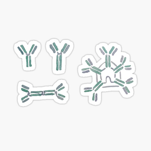 Antibodies (watercolour) Sticker
