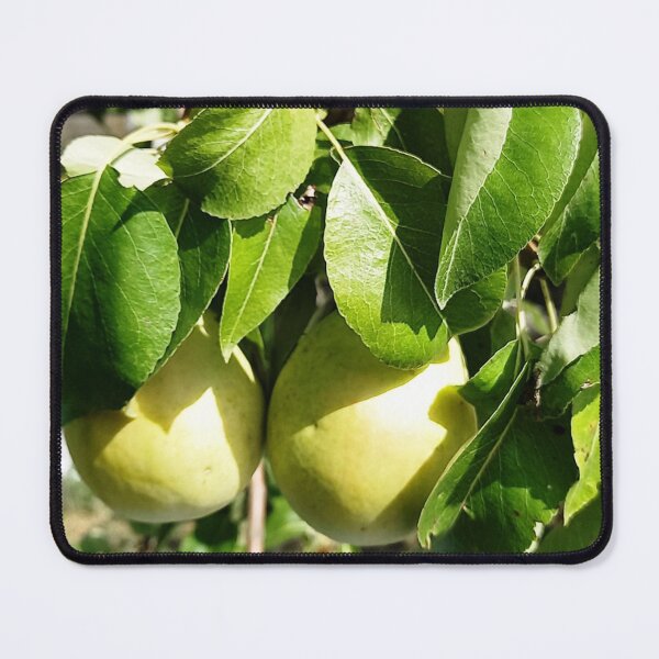 Item preview, My pears in the yard. designed and sold by AbaTiro.
