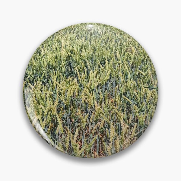 Item preview, green yellow corn field designed and sold by A-C-A-P.