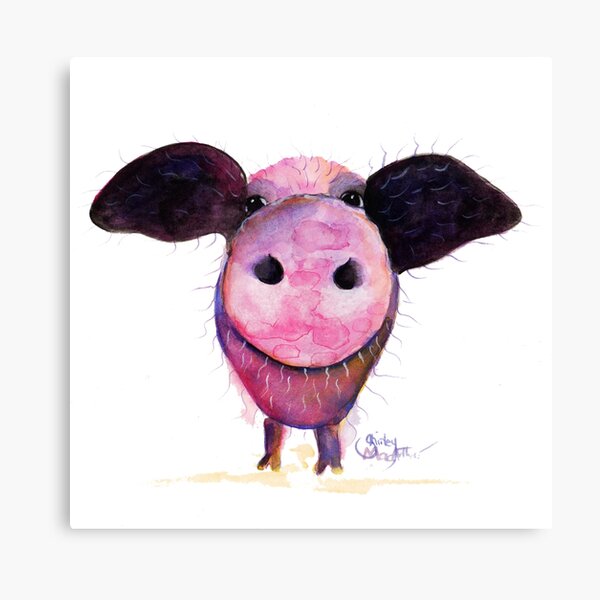 NOSEY PIG 'Pigs CAN Fly!' BY SHIRLEY MACARTHUR Canvas Print