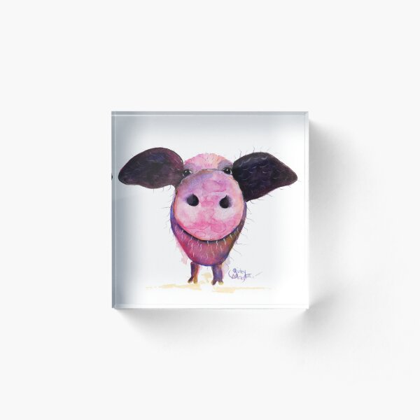 NOSEY PIG 'Pigs CAN Fly!' BY SHIRLEY MACARTHUR Acrylic Block