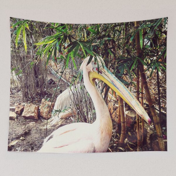 Item preview, Pelicans designed and sold by tnoar.