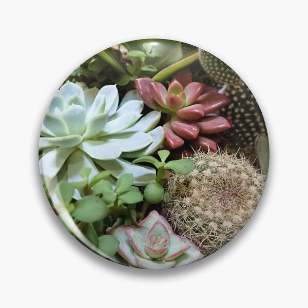 Item preview, Desert Plants designed and sold by Rebecca McGuire.