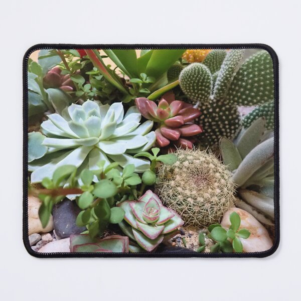Item preview, Desert Plants designed and sold by Rebecca McGuire.