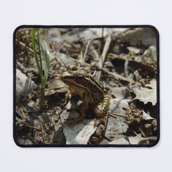 Item preview, Pickerel Frog designed and sold by catrantula.