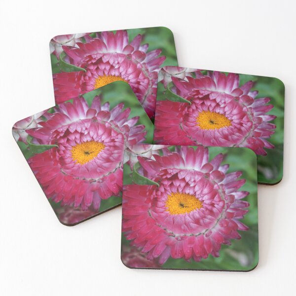 Item preview, Pink Strawflower designed and sold by Nicole Gath.