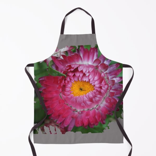 Item preview, Pink Strawflower designed and sold by Nicole Gath.