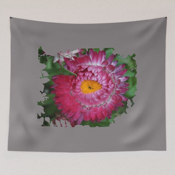 Item preview, Pink Strawflower designed and sold by Nicole Gath.