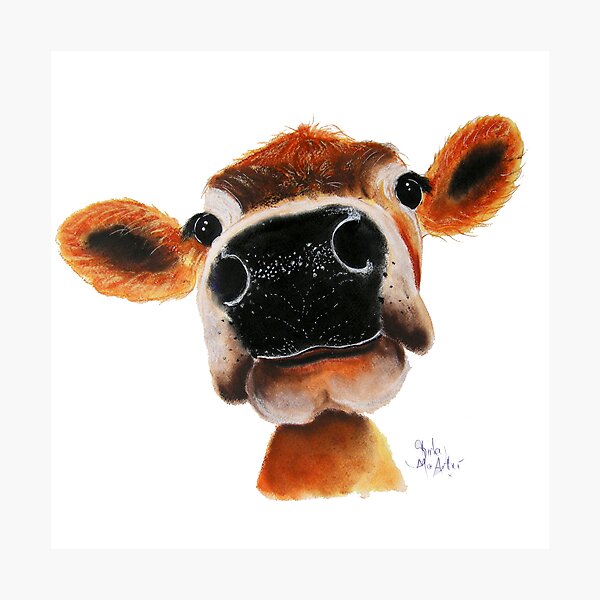JERSEY CoW PRiNT ' JeRSeY JoY ' BY SHiRLeY MacARTHuR Photographic Print
