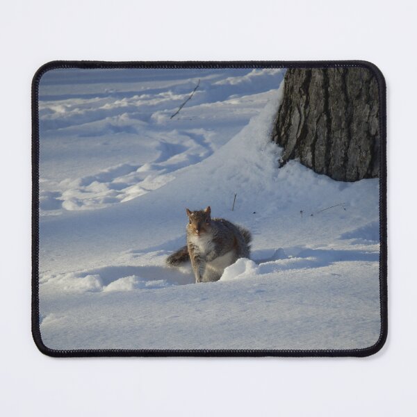 Item preview, Winter Squirrel designed and sold by catrantula.