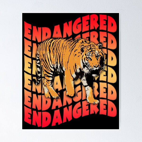 Pin by Mundo Animal on Asia Animal  Tiger conservation, Endangered tigers,  Tiger poster