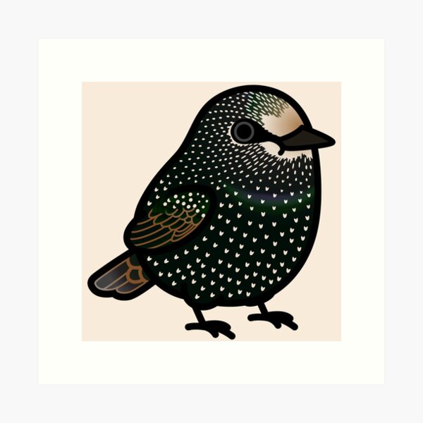 Item preview, Chubby European Starling designed and sold by birdhism.