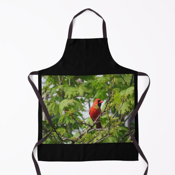 Item preview, Male Cardinal designed and sold by catrantula.
