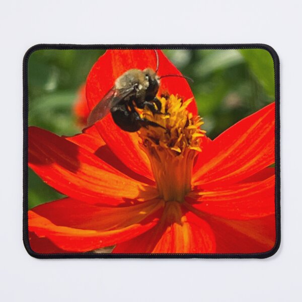 Item preview, Feeling Safe with our Pollinators designed and sold by TherapeuticNest.