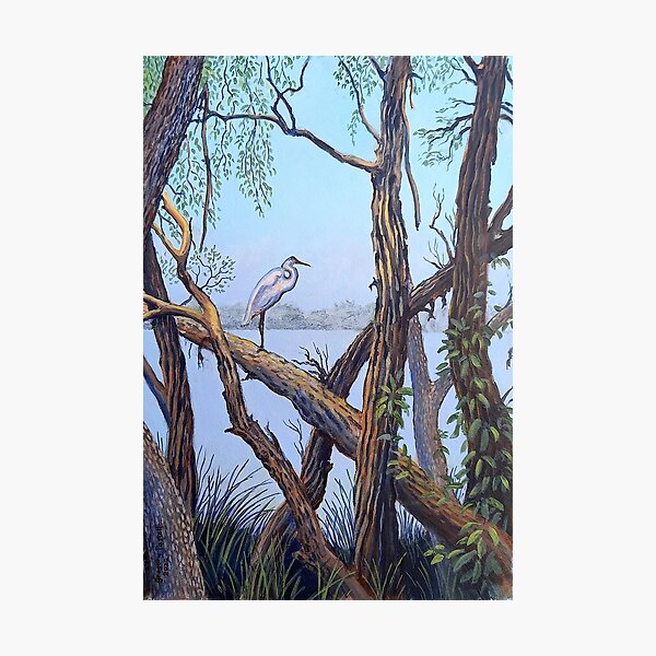Item preview, Canning River Misty Morning designed and sold by Gregory Pastoll.