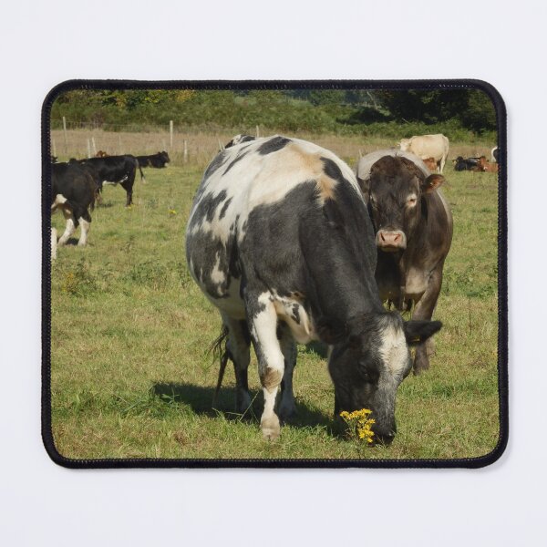 Item preview, Cow Field designed and sold by catrantula.