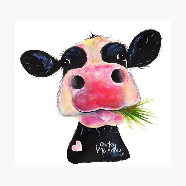 NOSEY COW PRiNT 'HURLEY BURLEY' BY SHiRLeY MacARTHuR Photographic Print