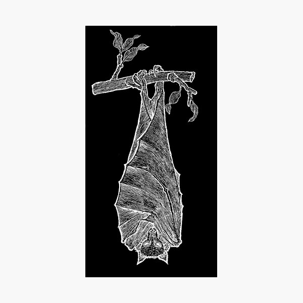 Item preview, Hanging Bat designed and sold by ShayneoftheDead.